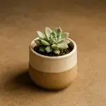 Sand