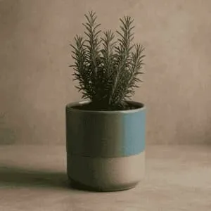 A product photo of Medium Planter from Prairie Clay Co. in the River colour.