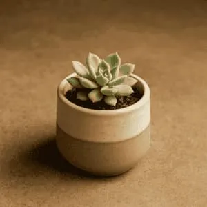 A product photo of Small Planter from Prairie Clay Co..
