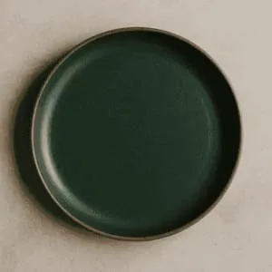 A product photo of Dinner Plate from Prairie Clay Co. in the Forest colour.